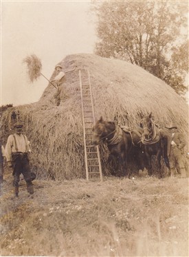 Photo: Illustrative image for the 'Paglesham - Farming the Land and the Water' page