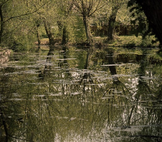 Photo:Rayleigh Castle Moat reflections