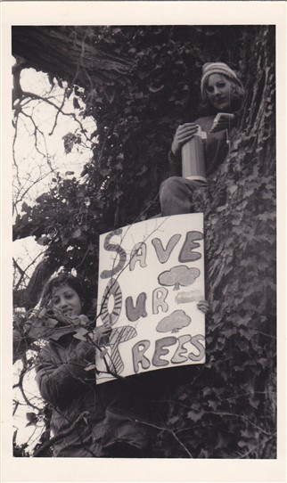 Photo: Illustrative image for the 'Save our trees' page
